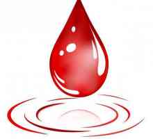 Donație de sânge: beneficii și rău. Unde și cum să doneze sânge