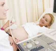 Doppler examinare în timpul sarcinii