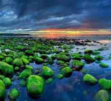 Islanda Atracții: natură, climă și fapte interesante