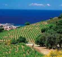 Obiective turistice Languedoc-Roussillon în Franța