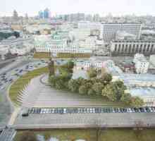 Puncte de atracție ale Moscovei: Piața Borovia