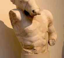 Sculptura greacă veche, trăsăturile ei, etapele de dezvoltare. Sculpturile grecești vechi și…