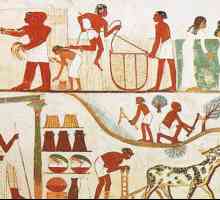 Egiptul antic: economia, trăsăturile sale și dezvoltarea