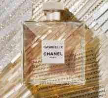 Parfum Chanel Gabrielle: comentarii, caracteristici și descrierea unui parfum