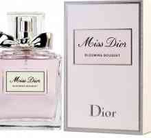 Parfumul Dior: Istoria casei de parfumuri și a sortimentului