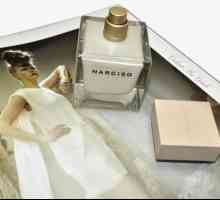 Parfumul `Narcissus Rodriguez` (feminin): mosc în inima lui Narcisso