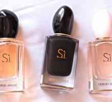 Parfum Si: descrierea parfumului, caracteristică, producător. Parfum Giorgio Armani Si: preț,…