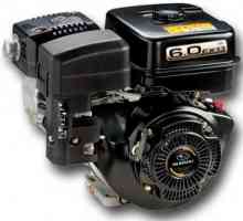 Motorul pentru motobloc `Subaru`: caracteristici, recenzii