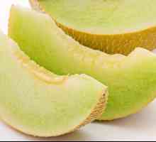 Melon `Torpedo`: calorii, beneficii, cultivare