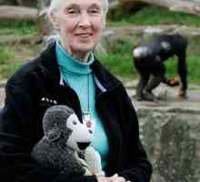 Jane Goodall, primatolog: biografie