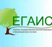 Sistem unificat automat de stat (EGAIS) "Contabilitate pentru lemn și tranzacții cu…