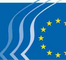 UNECE (Comisia Economică pentru Europa): compoziție, funcții, reguli