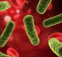 Enterobacter cloacae: normă și patologie