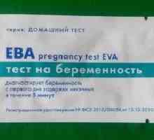 `Eva` - test de sarcină: recenzii, caracteristici aplicații, prețuri