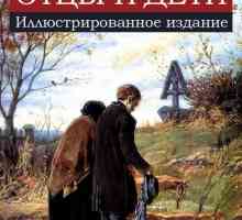 Eugene Bazarov. Originea eroului în romanul "Părinți și copii"