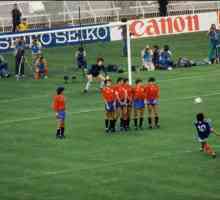 Turneul de fotbal Euro-1984