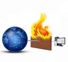 Firewall: ce este și pentru ce este?