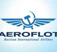 Date despre compania `Aeroflot`. Cine deține Aeroflot?