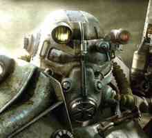 Fallout 3 se blochează. Modalități de a începe jocul