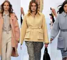 Stiluri de stiluri: tendințele modei din sezonul 2013