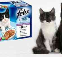 `Felix` (alimente pentru pisici): recenzii ale cumpărătorilor și medicilor…