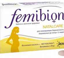 "Femibion ​​-1": compoziție. `Femibion` pentru femeile gravide: manual,…