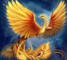 Phoenix este o pasăre care simbolizează reînnoirea veșnică și nemurirea