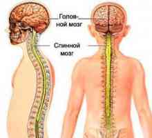 Cabluri spinale fixate la copii: Simptome, cauze și caracteristici ale tratamentului