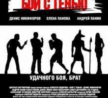 Filmul "Lupta cu umbra" (2005): actori, complot