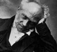 Schopenhauer: filosofia voluntarismului și a obiectivității vieții umane