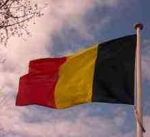 Steagul Belgiei ca simbol al statului