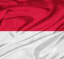 Steagul Indoneziei: specie, semnificație, istorie