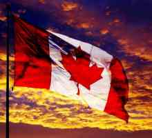 Steagul Canadei - istoria și semnificația florilor. Ce înseamnă drapelul Canadei?