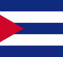 Steagul Cubei: "Steaua singuratică a socialismului în tabăra democraților