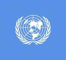 Drapelul ONU: simboluri și culoare