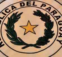Steagul Paraguayului: istorie, trăsături și semnificație