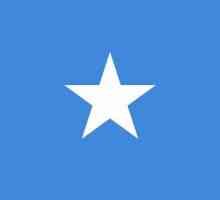 Steagul Somaliei: istorie și descriere