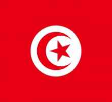 Steagul Tunisiei: aspect și istorie
