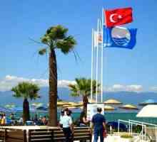 Steagul Turciei - o semilună cu o stea pe un banner roșu