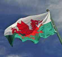 Steagul Țării Galilor, originea sa și alte simboluri ale țării