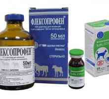 `Flexoprofen` pentru pisici: instrucțiuni de utilizare