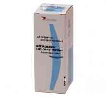 `Flemoxin Solutab` (1000 mg): instrucțiuni de utilizare, indicații, dozare, recenzii