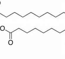 Acid fosfatidic. Sinteza și semnificația în organism