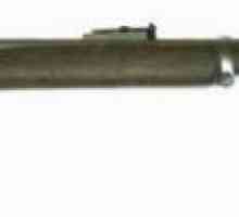 Фото, история, описание винтовки Пибоди Мартини 1869 года