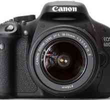 Camera Canon D600: specificații, recenzii