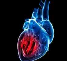 Fracția ejecției inimii: normă și patologie