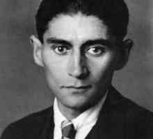 Franz Kafka, "Castelul": un rezumat și recenzii ale cărții