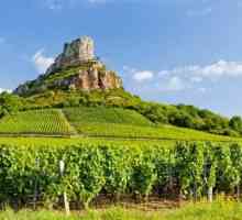 Vinuri franțuzești din Burgundia