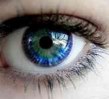 Termeni frazeologici cu cuvântul "ochi". Frazeologismele cu cuvântul "ochii" și…