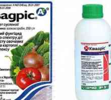 Fungicide `Quadrice`: instrucțiuni de utilizare, descriere și recenzii